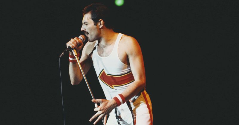 Freddie Mercury stopped taking AIDS medication that was keeping him alive two weeks before his death: 'He knew it was coming'