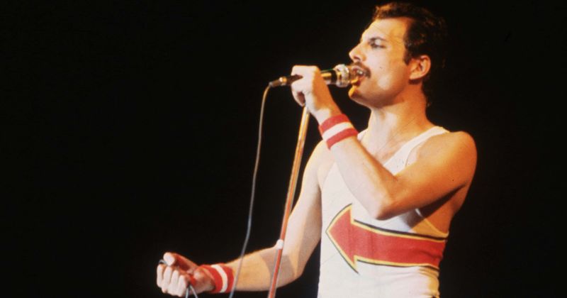 Freddie Mercury stopped taking AIDS medication that was keeping him alive two weeks before his death: 'He knew it was coming'