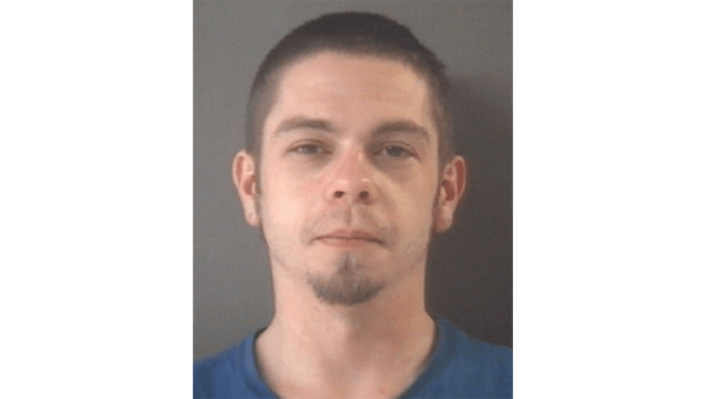 Children's Protective Services had expressed concerns about Brown's contact with his own children