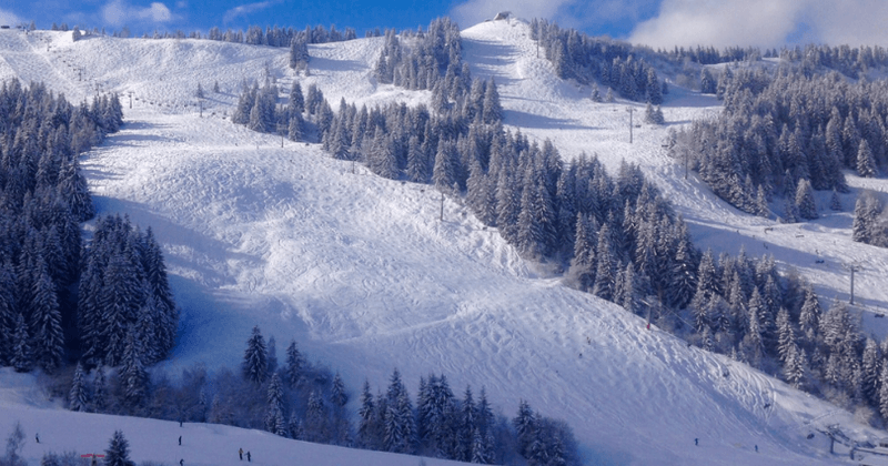 Young hunter, 22, accidentally shot and killed 34-year-old British mountain biker in the French Alps