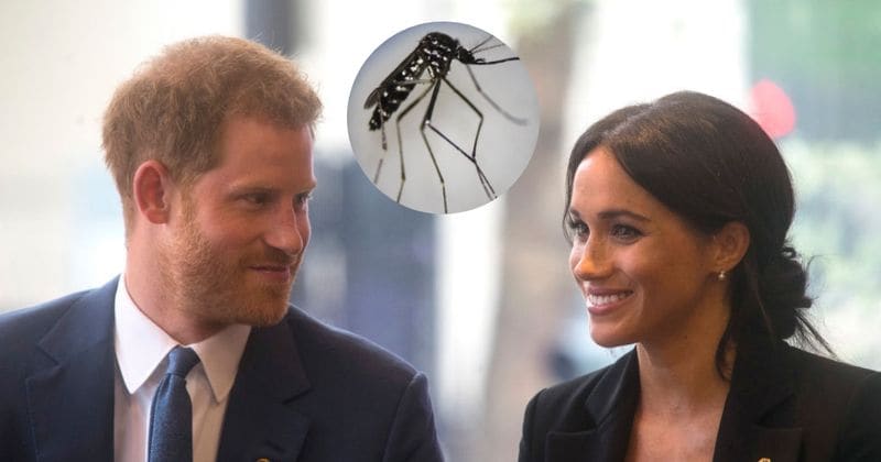 Pregnant Meghan Markle apparently spoke to doctors about zika fears ahead of royal trip to Fiji