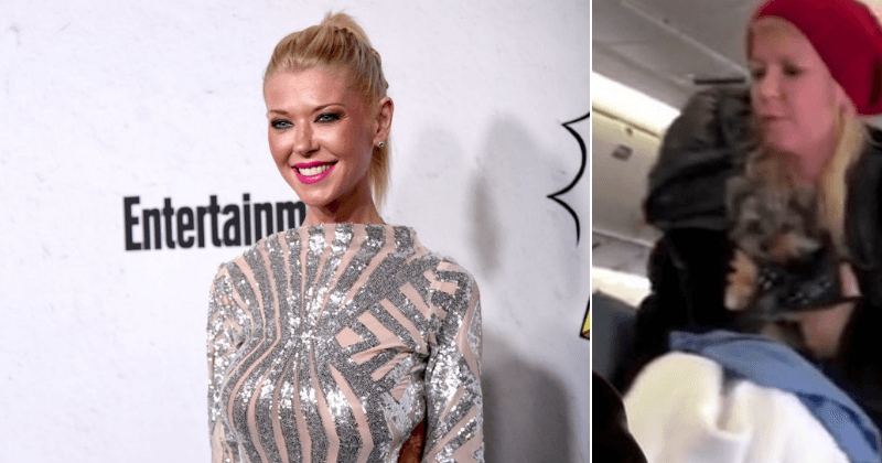 'Sharknado' actress Tara Reid kicked off plane for allegedly causing 'disturbance' over seating shortly before takeoff