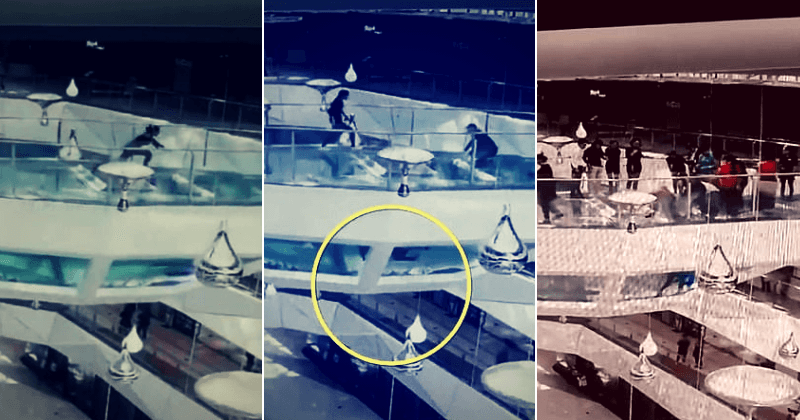 Terrifying moment woman trips and falls into shark tank moments before they were due to be fed