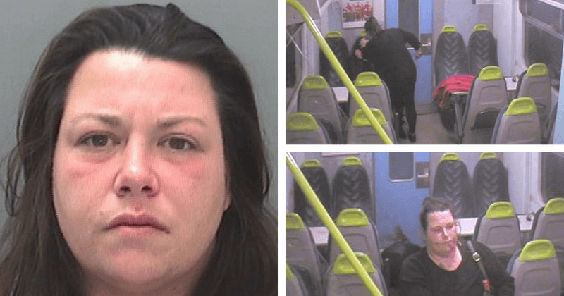 Woman repeatedly stabs friend in a train for four minutes leaving the victim crawling through the carriage