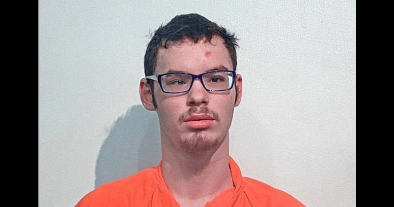 'How old is your daughter?': Man looking to sexually assault, cannibalize young girls posts ad on dark web