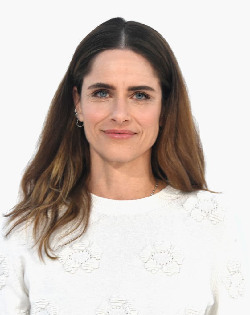 Amanda Peet (Source: Getty Images)