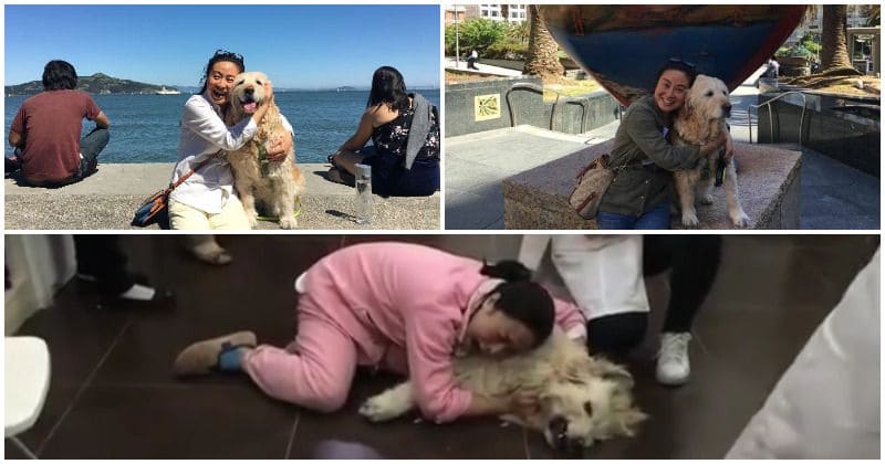 Heartbreaking video shows woman weeping over body of her dog who was poisoned by her neighbor