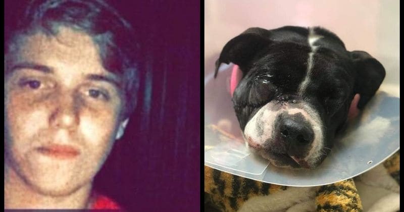 Teen who suspected his dog had rabies shoots her point-blank in the face because he 'had no time to take her to the vet'