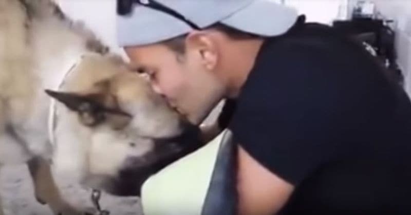 Young cop spends last tearful moments playing with his cancer-stricken pet German Shepherd, a retired K9, before she is put down