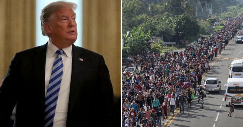 President Trump wants to end 'ridiculous' birthright citizenship for children of illegal immigrants