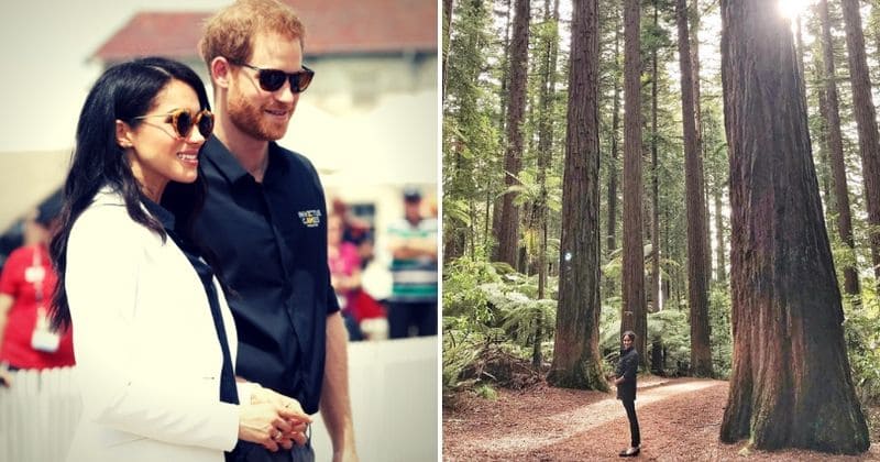 Prince Harry snaps gorgeous picture of Meghan Markle cradling her baby bump