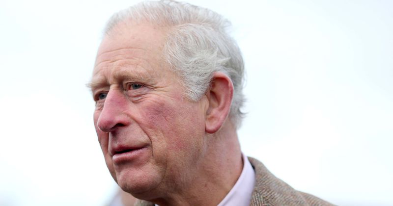 Prince Charles reveals his major fear for Prince Harry and Meghan Markle's baby