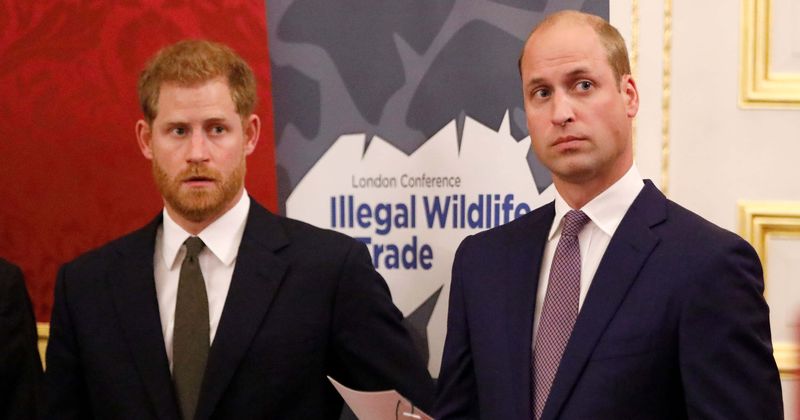 Prince Harry 'switches on' his outgoing behavior for cameras but William is naturally social, says royal filmmaker