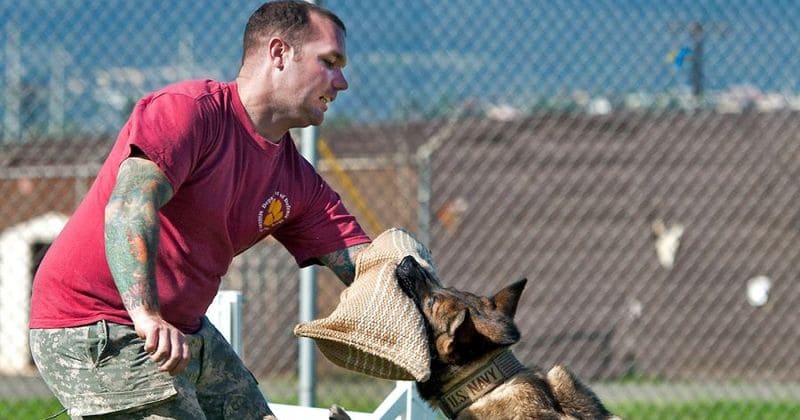 Girlfriend fatally stabs US airman in the neck and abdomen because she didn't want to break up