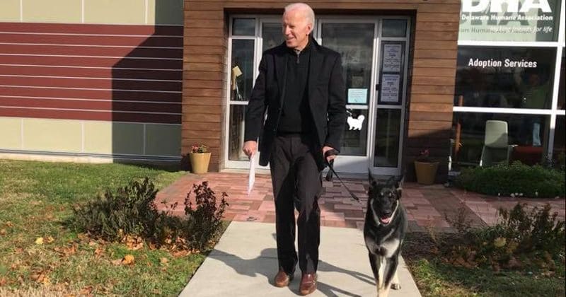 Former vice president Joe Biden adopts puppy from shelter after fostering him for seven months