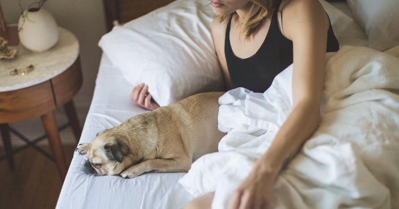 Women who need a good night's rest should consider letting their dogs sleep on the bed beside them: report