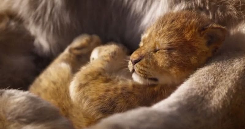'The Lion King' teaser trailer evokes nostalgia for the magic of Disney's 1994 classic