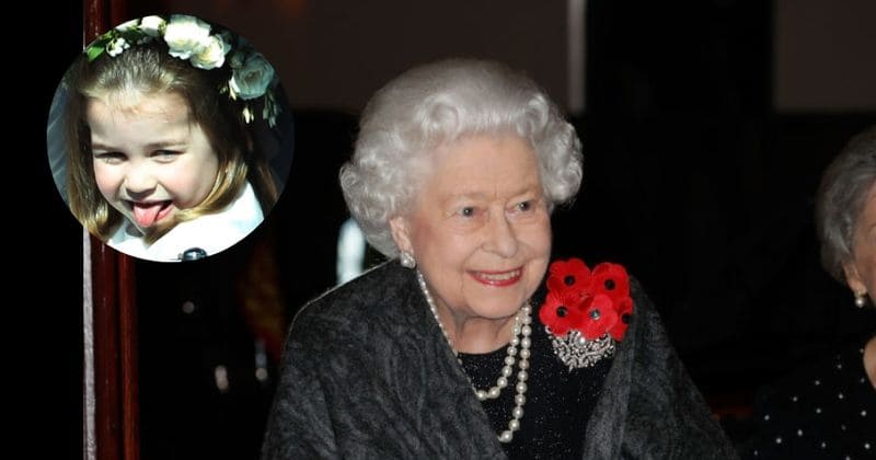 Queen's abdication may be a while away as she's enjoying "the wave of popularity" younger royals have brought the monarchy: Experts