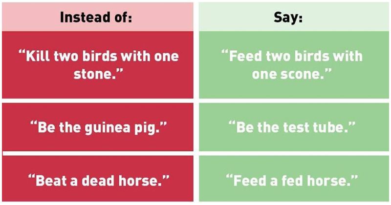 PETA relentlessly mocked after asking people to stop using 'anti-animal language' to reduce 'speciesism'