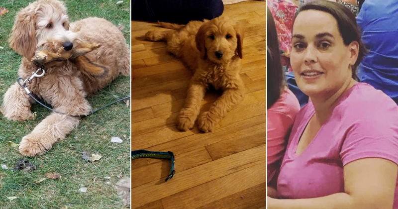 Mother-of-three falls through ice and dies while trying to rescue her dog from frozen pond