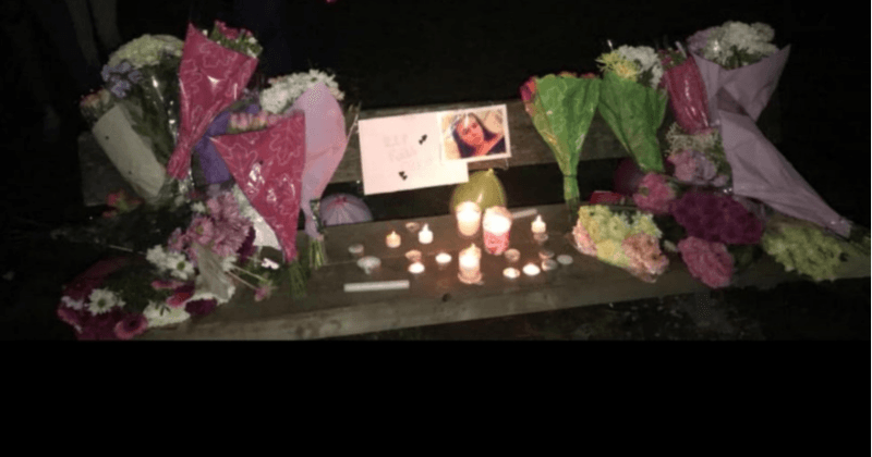 13-year-old schoolgirl with mental health problems kills herself just weeks before Christmas