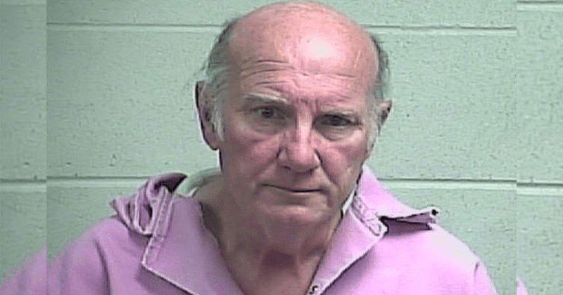 Man who fired multiple rounds at his wife says she begged him to end her life after suffering a stroke