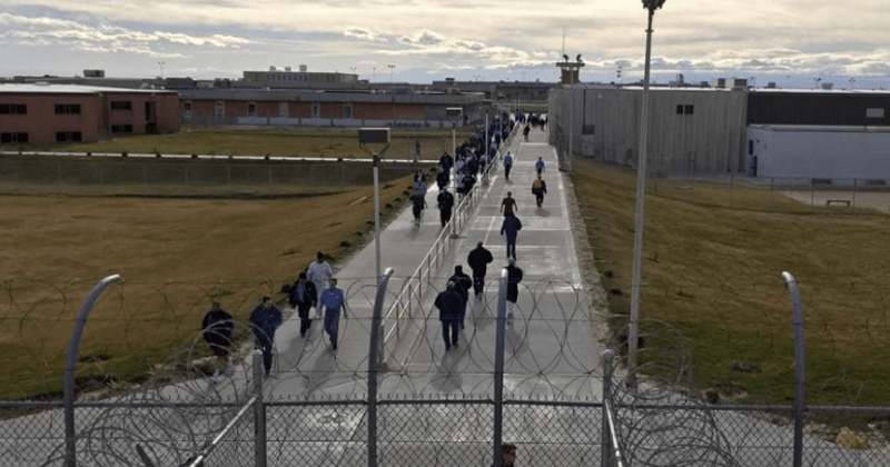 Disgusted by her male genitalia, transgender inmate tried to remove her testicles using razor blade