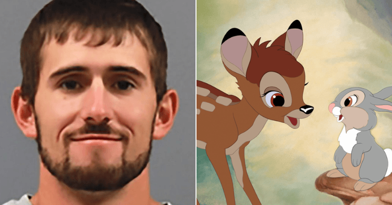 Poacher who killed hundreds of deer ordered to repeatedly watch Disney movie 'Bambi' as part of prison sentence