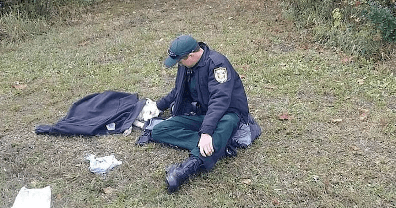 Florida police officer gently pets and comforts dog which was in pain after it was hit by a car