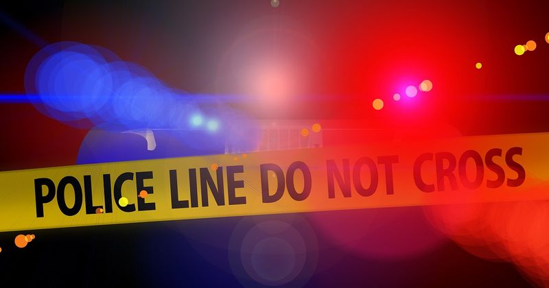 Man with mental health problems murders parents, dumps bodies in car trunk and hangs himself