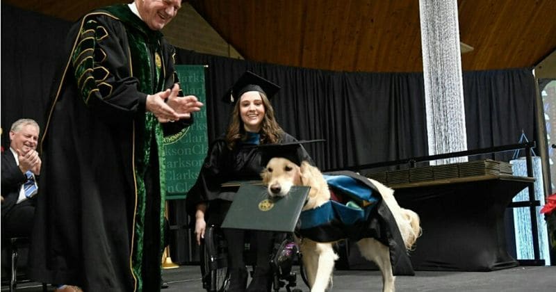 College graduate's golden retriever gets honorary diploma for helping her cope with disability