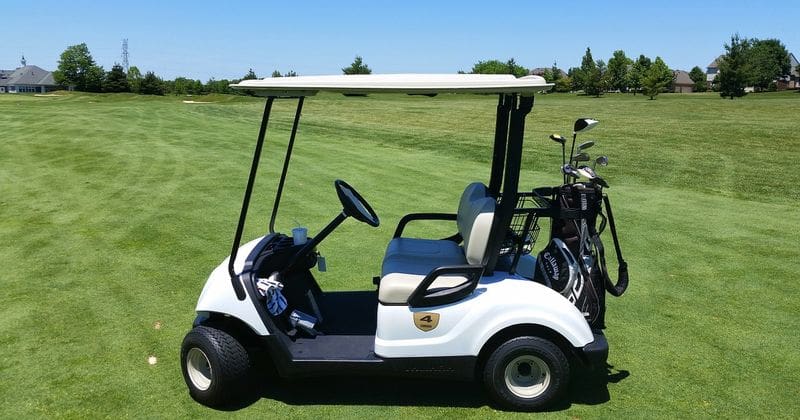 Wives accidentally kill their husbands in freak golf cart crash while crossing river that runs through the course