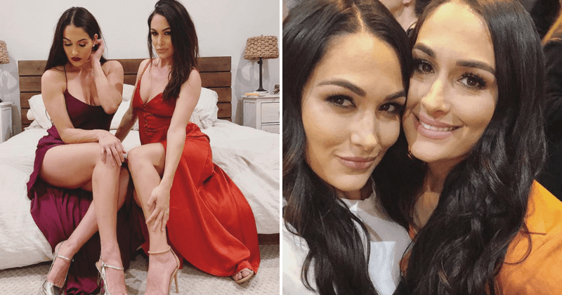 'Total Bellas': Here's the lowdown on everything you need to know about the upcoming season four