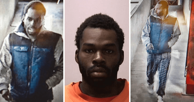 Man, 26, forces himself into 99-year-old woman’s apartment in San Francisco’s Chinatown and sexually assaults her