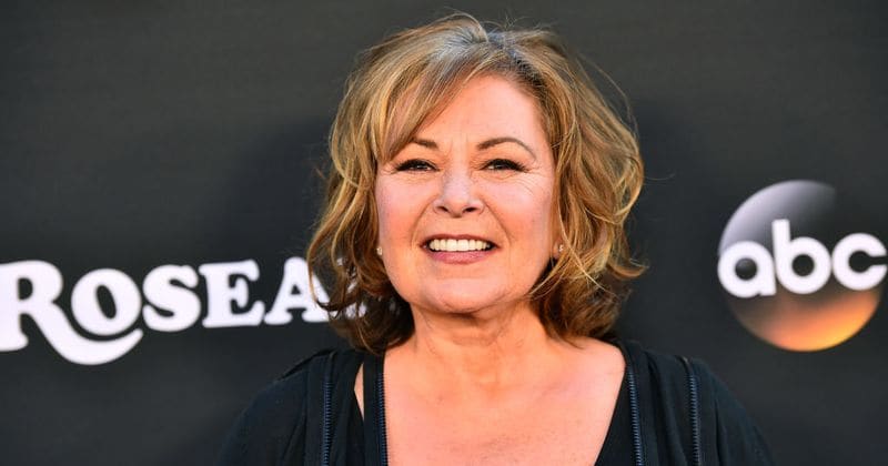 'A large part of it is antisemitism': Roseanne Barr claims ABC fired her because she is Jewish and supports Israel