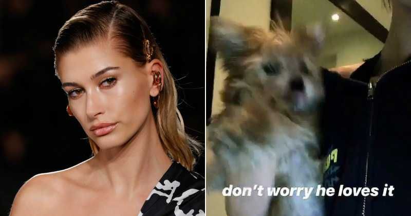 Hailey Baldwin posts video of shaking her puppy, fans accuse her of 'abuse'