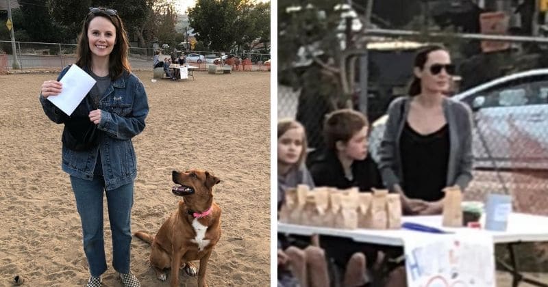 Angelina Jolie spotted with her children selling organic dog treats at a make-shift stand in Los Angeles dog park