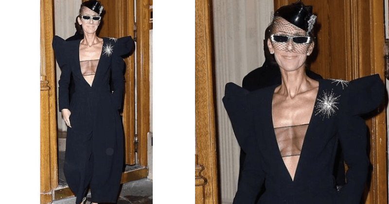 Celine Dion wows as she goes braless in plunging futuristic jumpsuit with a sheer panel in Paris