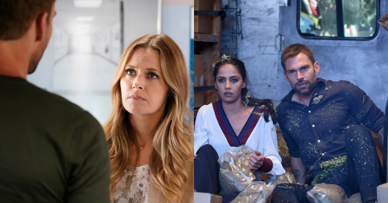 'Lethal Weapon' season 3: Is Cole going back to Nat after breaking up with Erica?
