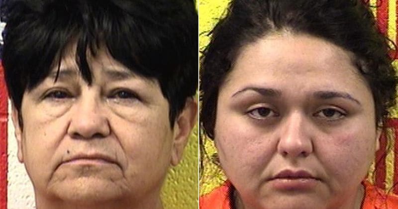 Daycare owners who left two toddlers in van during heatwave leading to death of 22-month-old girl claim it was an accident