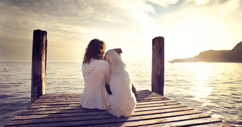 Dog owners spend more time cuddling their pets than their partners on Valentine's Day: Report