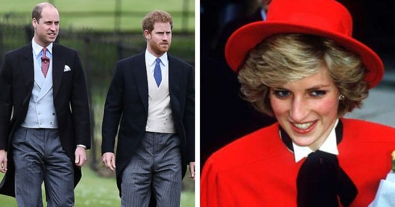 Prince William told Diana he did not want to be king but Harry was more than keen: Documentary