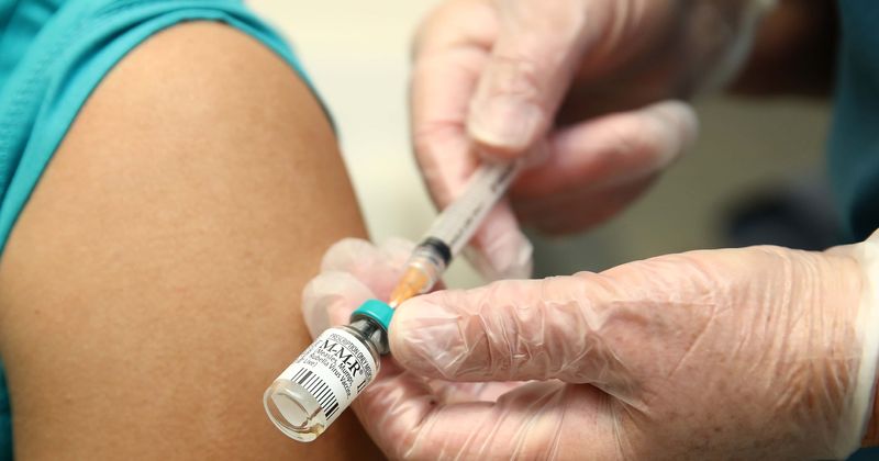 Antibody targeting variety of flu viruses may be key to 'a truly universal vaccine', says study