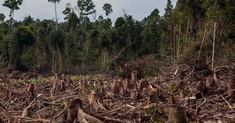 Protected areas failing to prevent human encroachment, shows conservation analysis in 152 countries