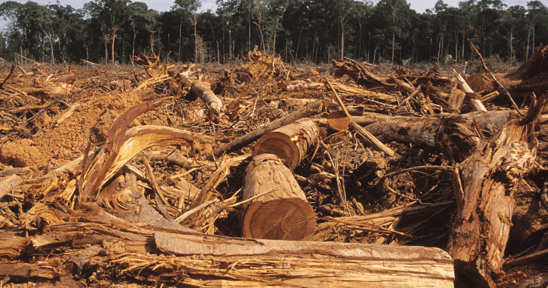 Protected areas failing to prevent human encroachment, shows conservation analysis in 152 countries