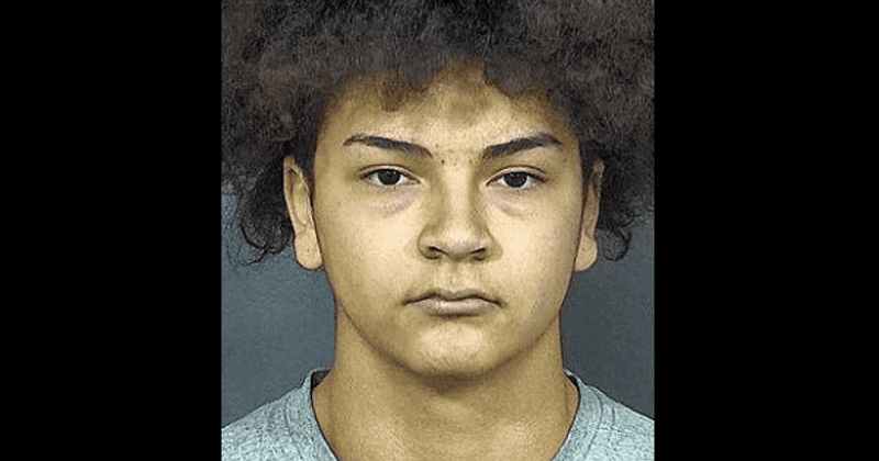 Indiana teen pleads guilty to murdering girlfriend because she told him about pregnancy when it was too late to abort