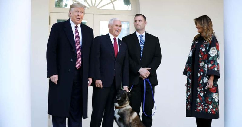 President Trump tweets photoshopped image of him honoring hero dog Conan who cornered IS chief al-Baghdadi