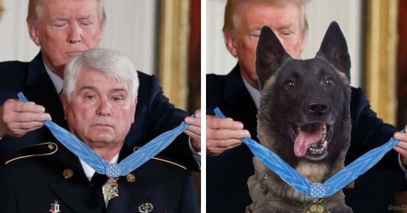 President Trump tweets photoshopped image of him honoring hero dog Conan who cornered IS chief al-Baghdadi