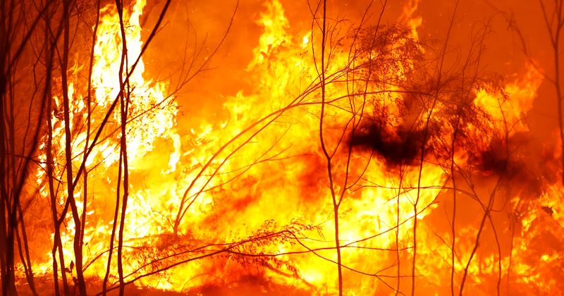 Car crash after high speeed police chase sparks wildfire in California burning more than 300 acres