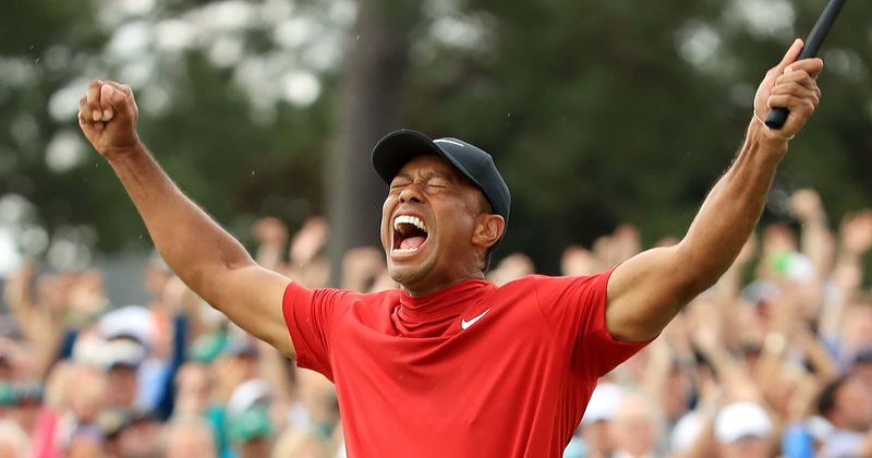 Tiger Woods branded 'pathological narcissist' in new book that also claims the millionaire was very stingy: 'He paid his coach just $50k a year'